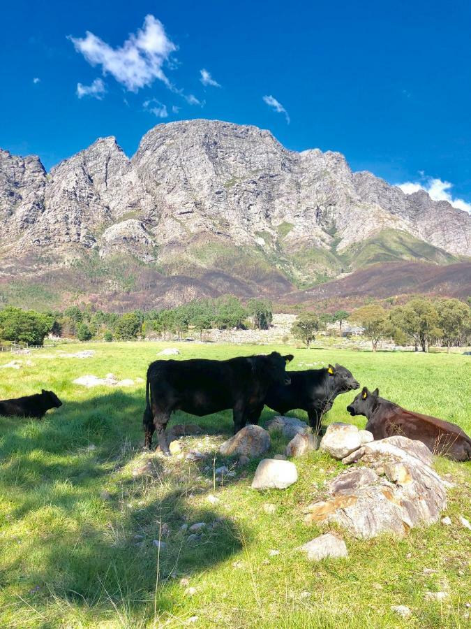 The Barn In Franschoek Pensionat Franschhoek Eksteriør billede